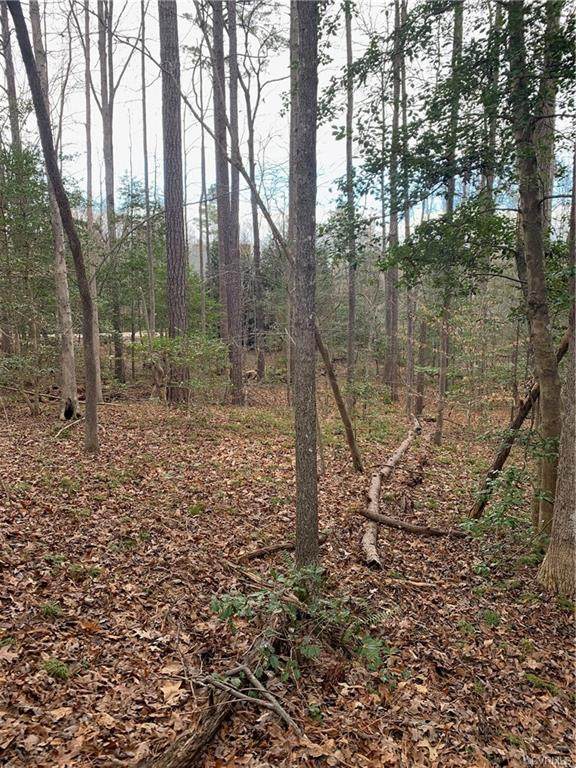 15549 Chesdin Landing Court - Photo 1