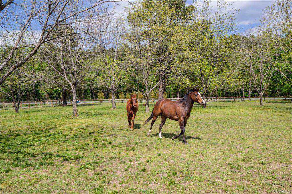9055 Sandy Ridge Road - Photo 1