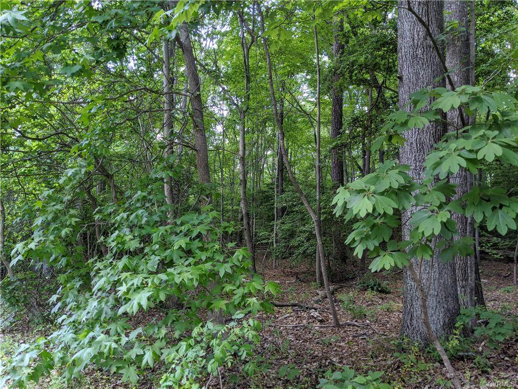 8730 Richmond Road - Photo 1