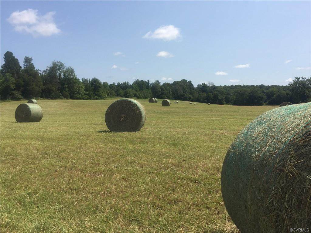 2838 Bibb Store Road - Photo 1