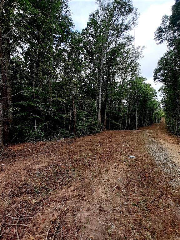 0 Shawan Road - Photo 1