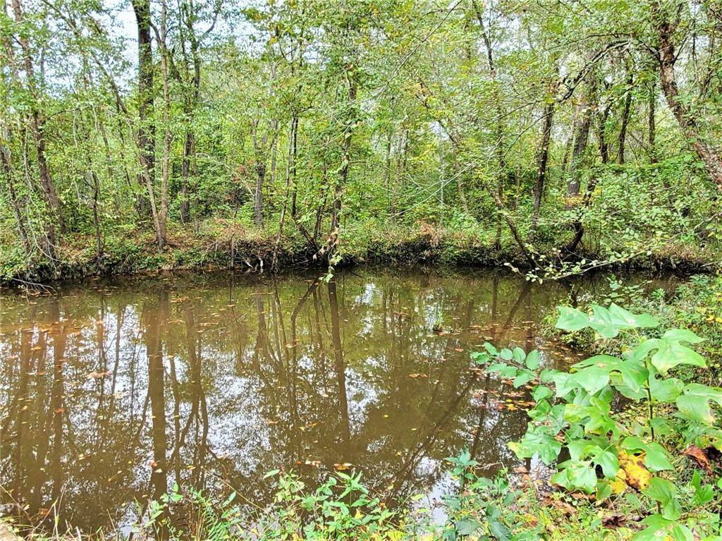 35 ACRES Gregory Mill Lane - Photo 1