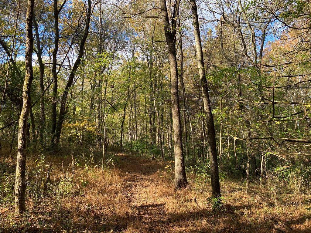 482 Pine Tree Hollow - Photo 1