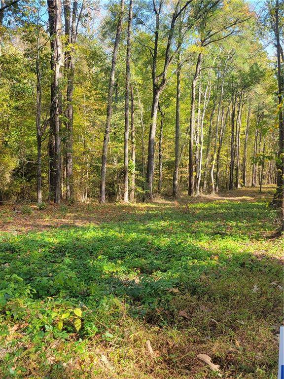 00 Adams Creek Road - Photo 1