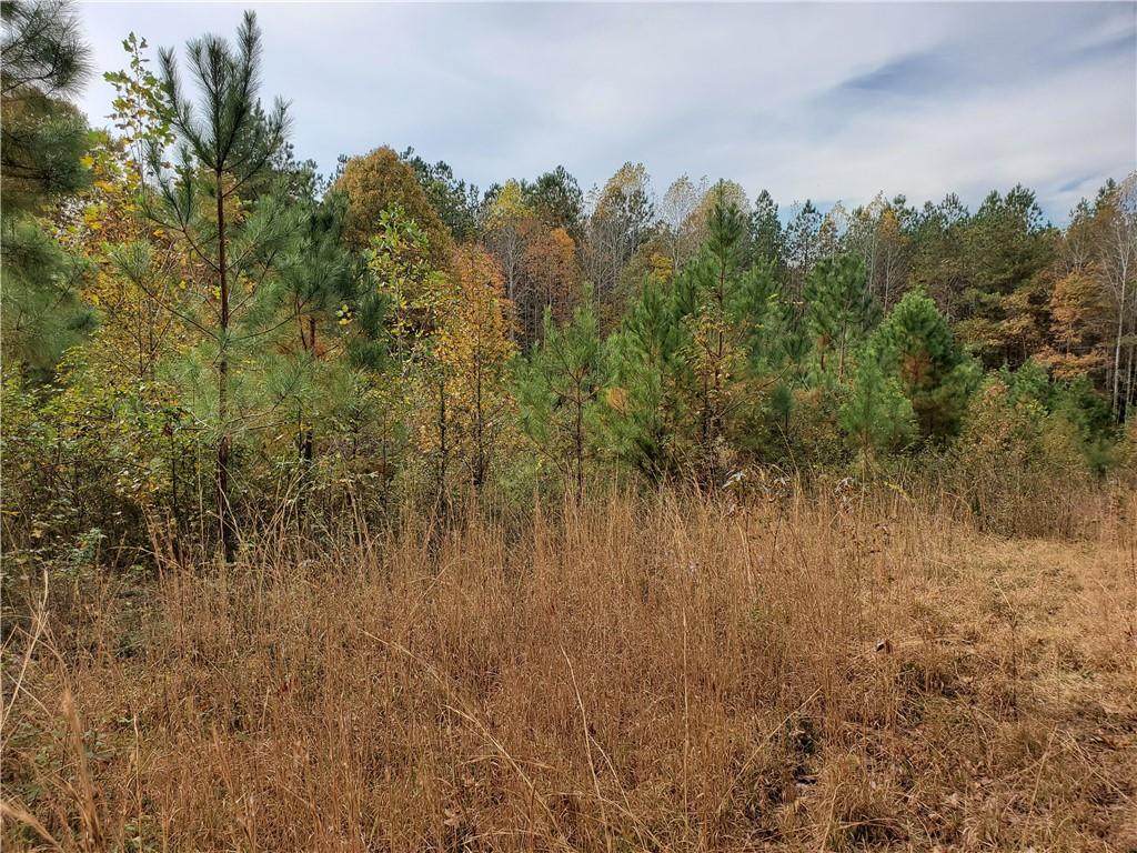 9231 Richmond Road - Photo 1