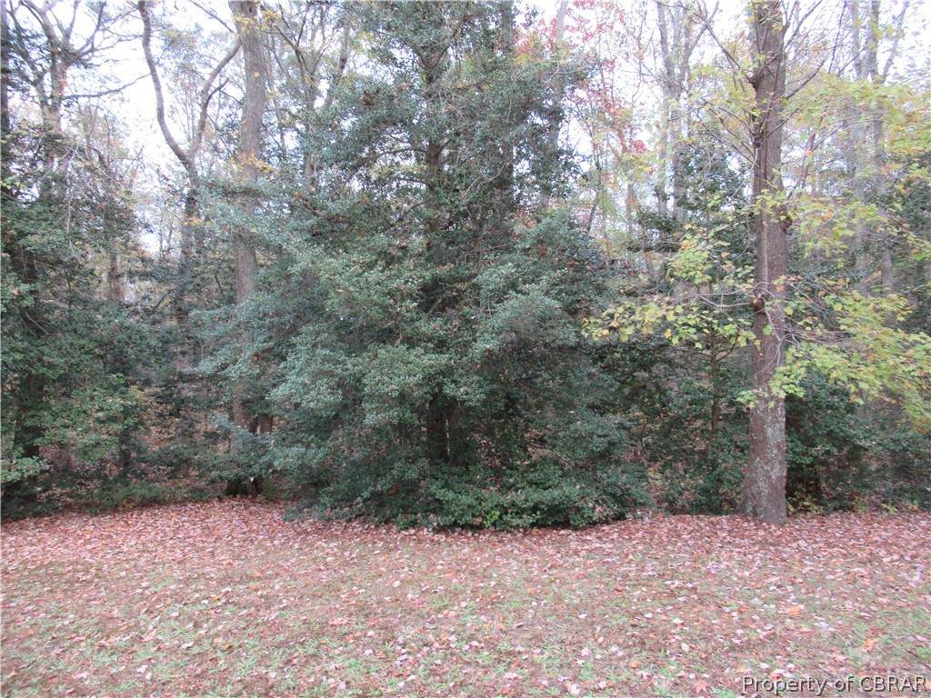 0 Peach Point Road - Photo 1