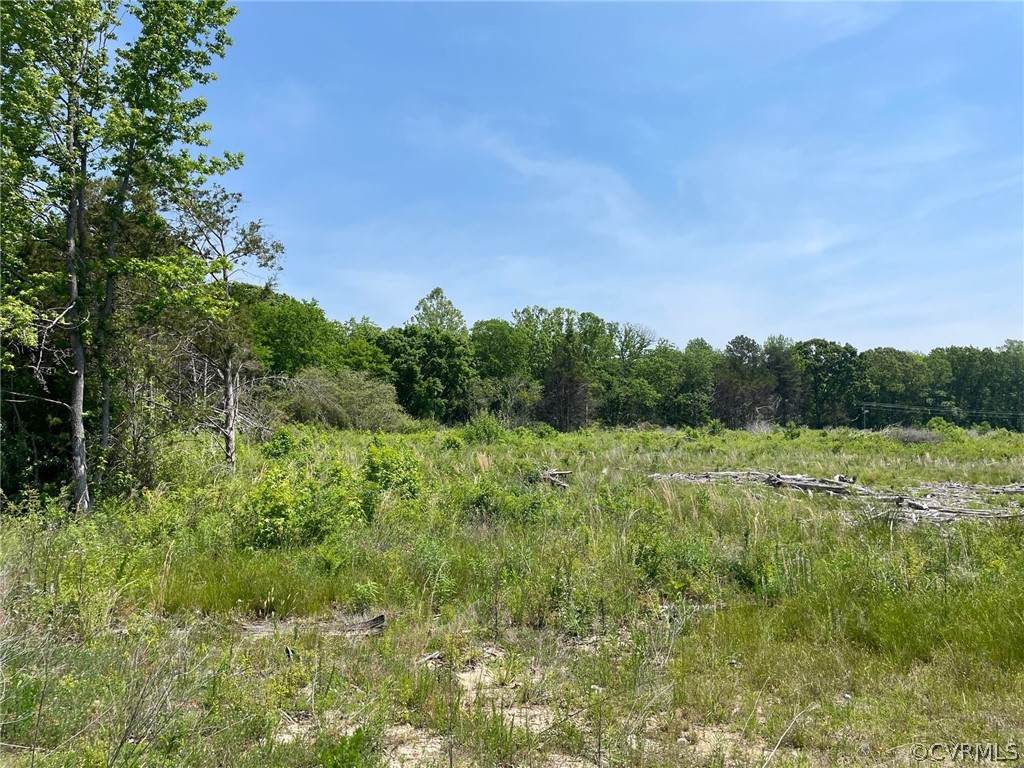 16595 Mountain Road - Photo 1