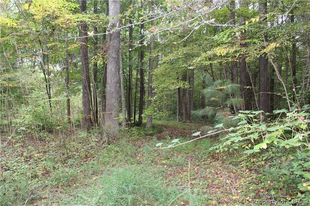 Lot 13 Glenwood Drive - Photo 1