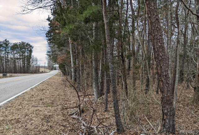 6048 Cartersville Road - Photo 1