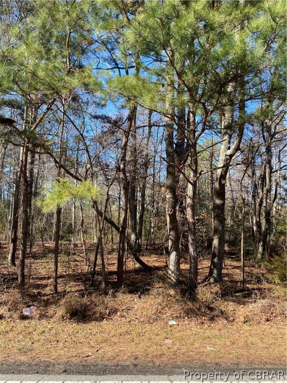 9167 B Guinea Road - Photo 1