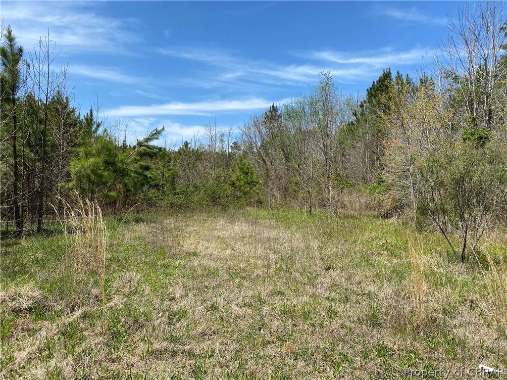 7598 Crab Thicket Road - Photo 1