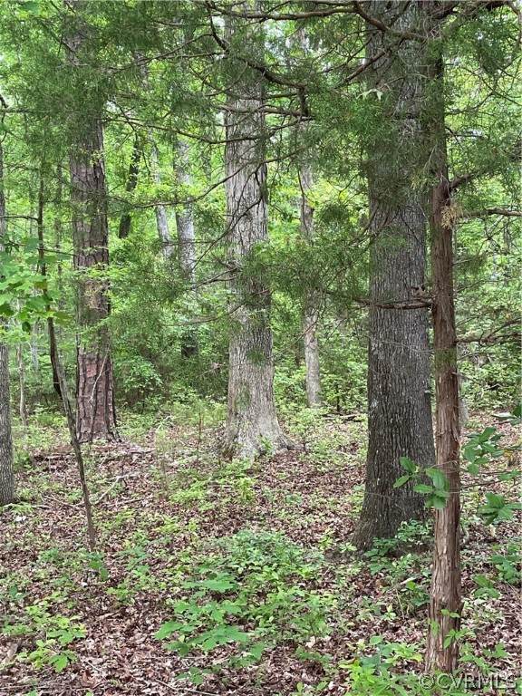 0 River Road - Photo 1