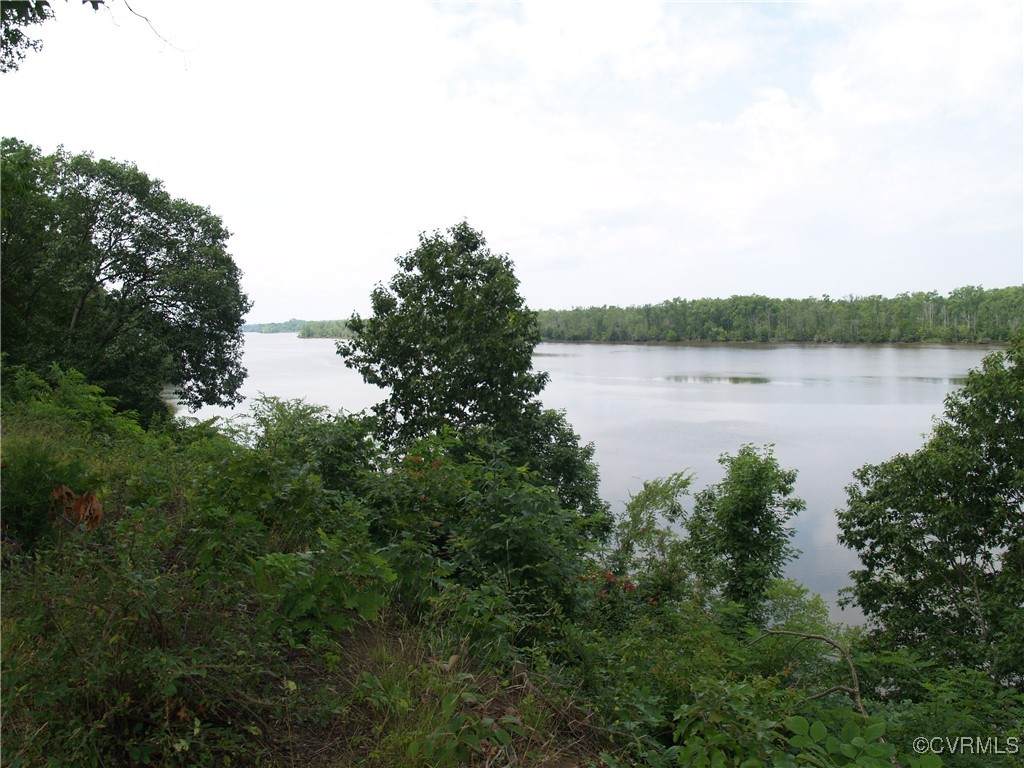 1421 John Tyler Memorial Highway - Photo 1
