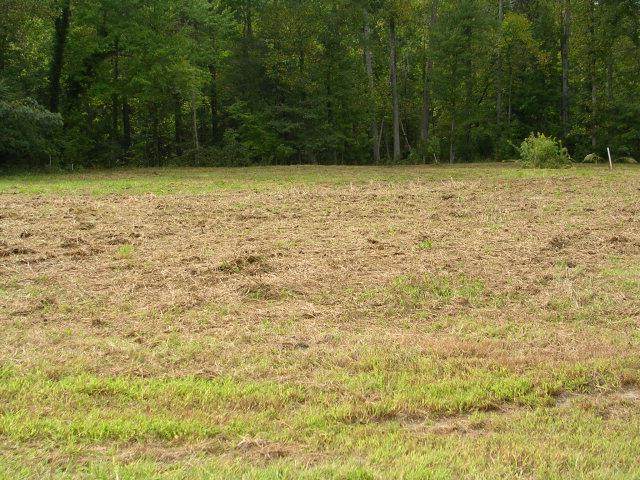 Lot 7 Kayak Cove Road - Photo 1