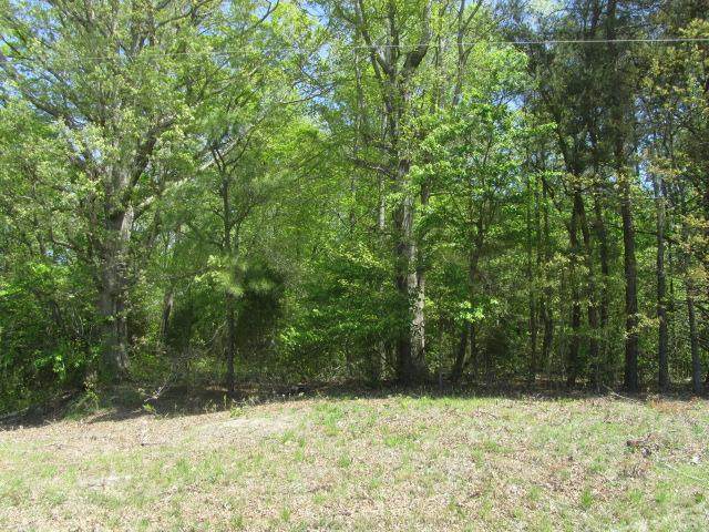 00 Turks Ferry Road - Photo 1