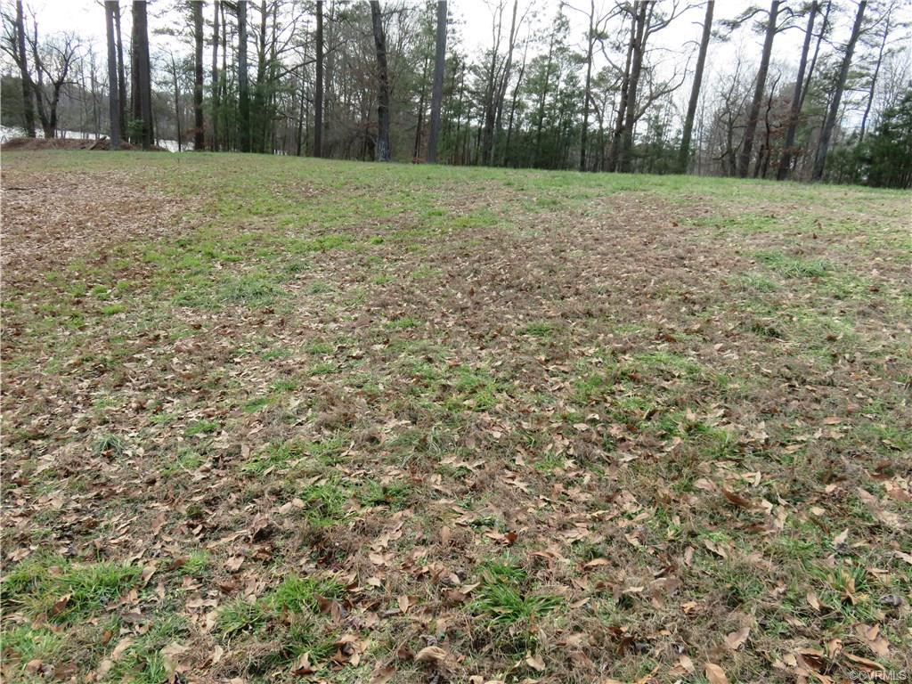 Lot 2 Martin Luther King Highway - Photo 1