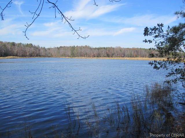 000 Millers Landing Road - Photo 1