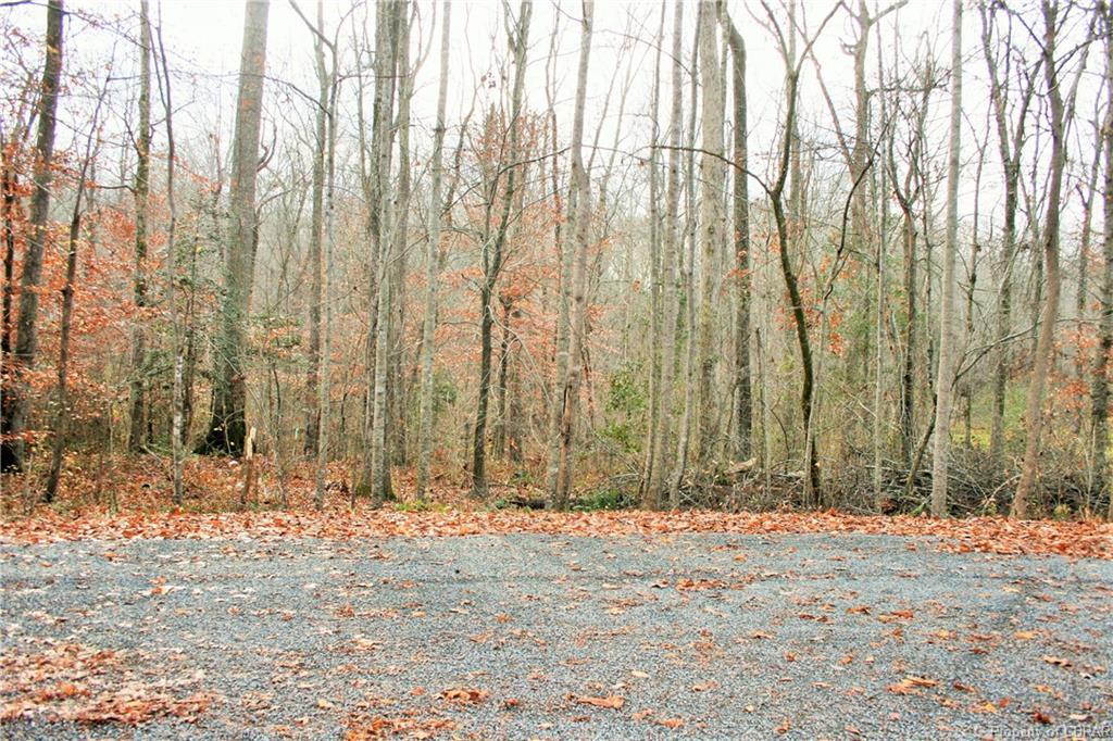 Lot 96 Crany Creek Drive - Photo 1