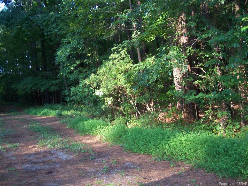 0 Deodara - Photo 1