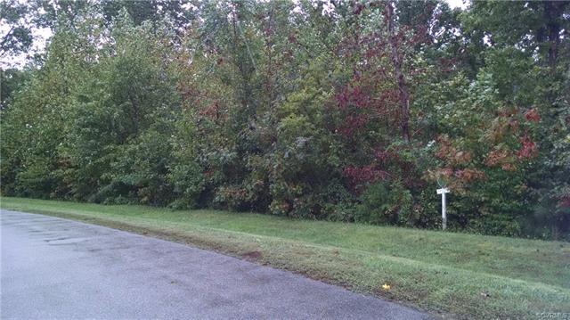 15512 Chesdin Manor Drive - Photo 1