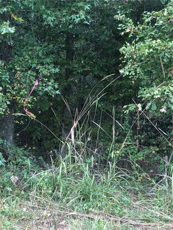 0 Taylorsville Road - Photo 1