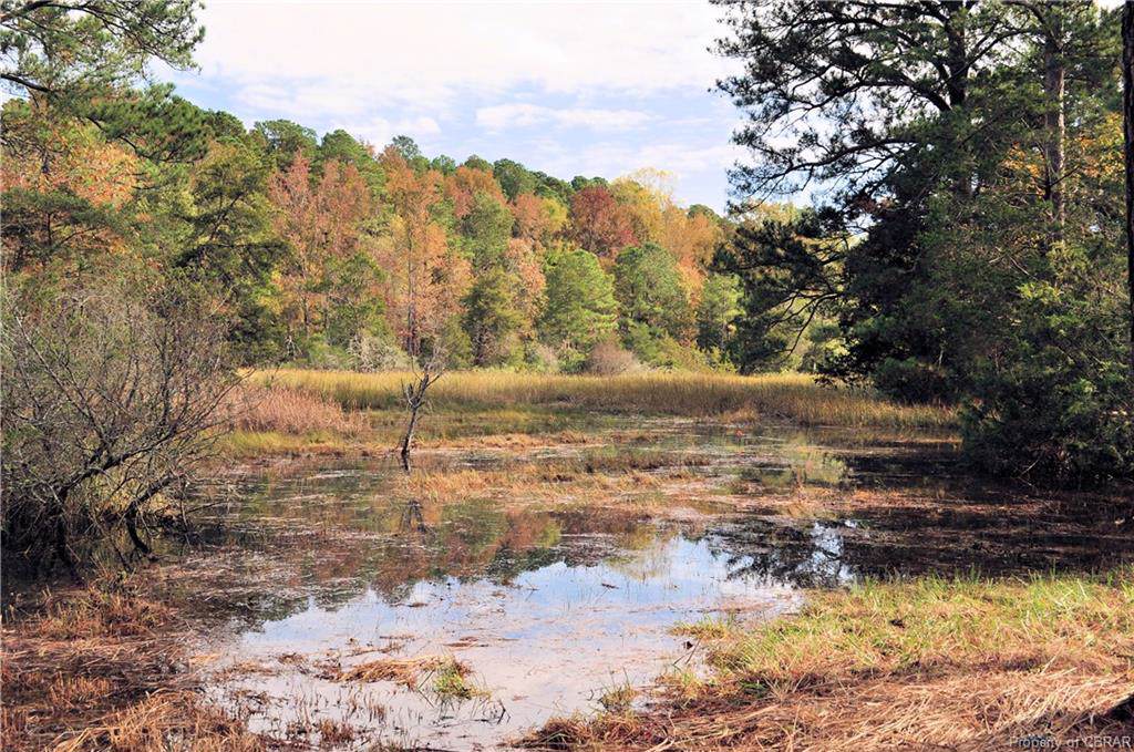 Lot 35A Chapel Neck Road - Photo 1