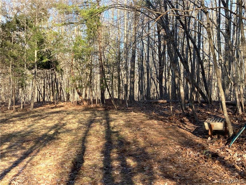 0 Mays Road - Photo 1