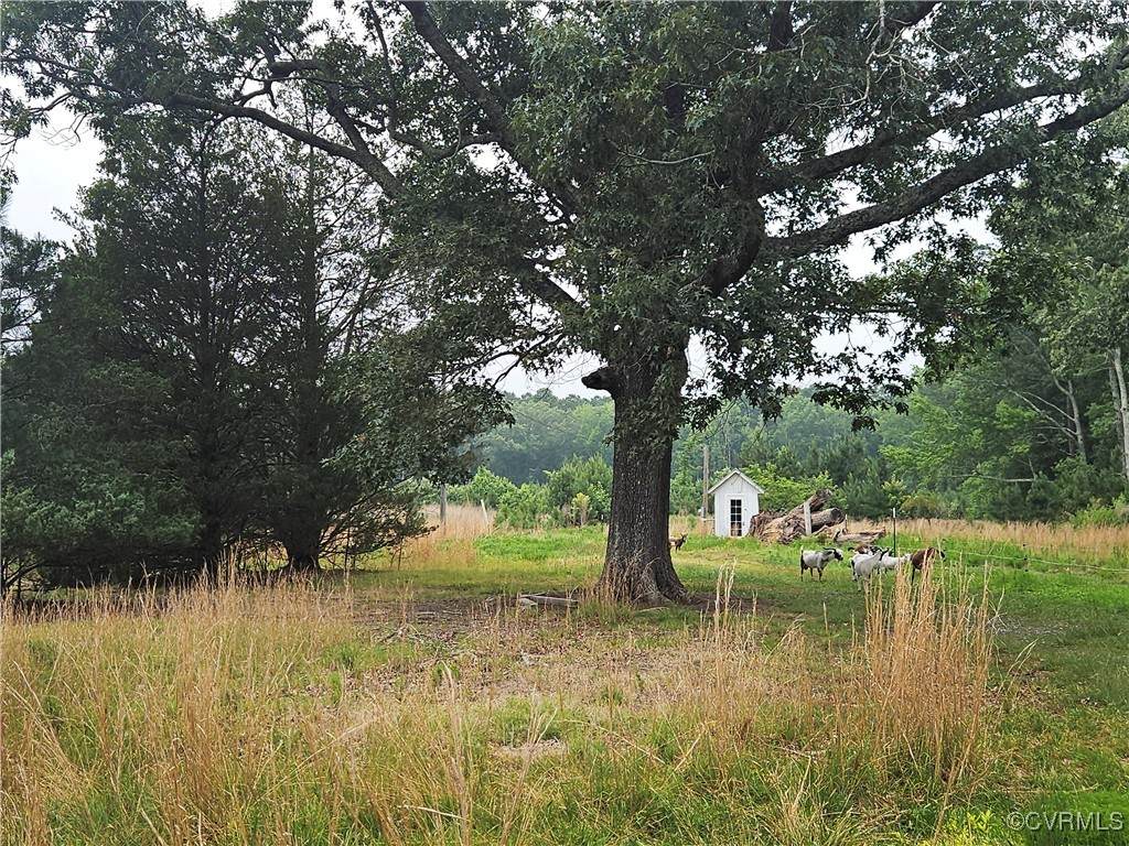 3066 Bethel Beach Road - Photo 1