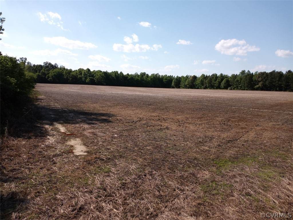 00 County Line Road - Photo 1