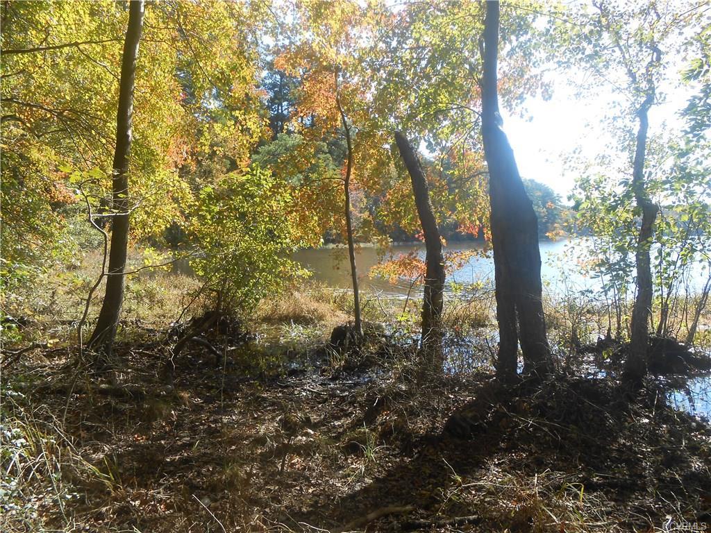 0 Colemans Lake Rd, Lot 15 Road - Photo 1