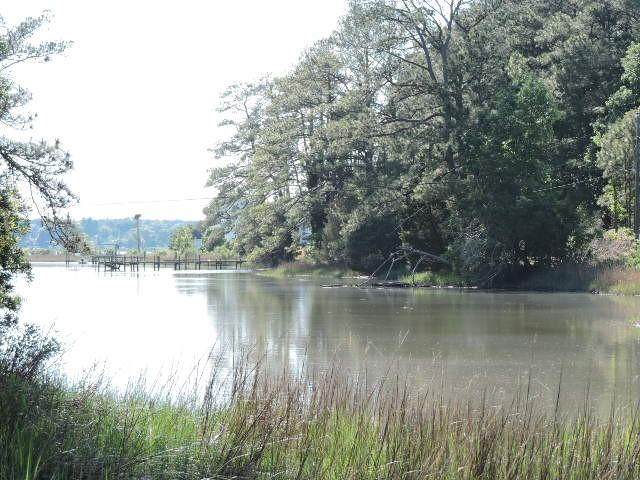 37 Celey Thomas Lane - Photo 1
