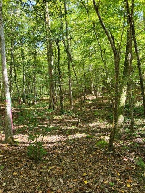 Lot C Homestead Road - Photo 1