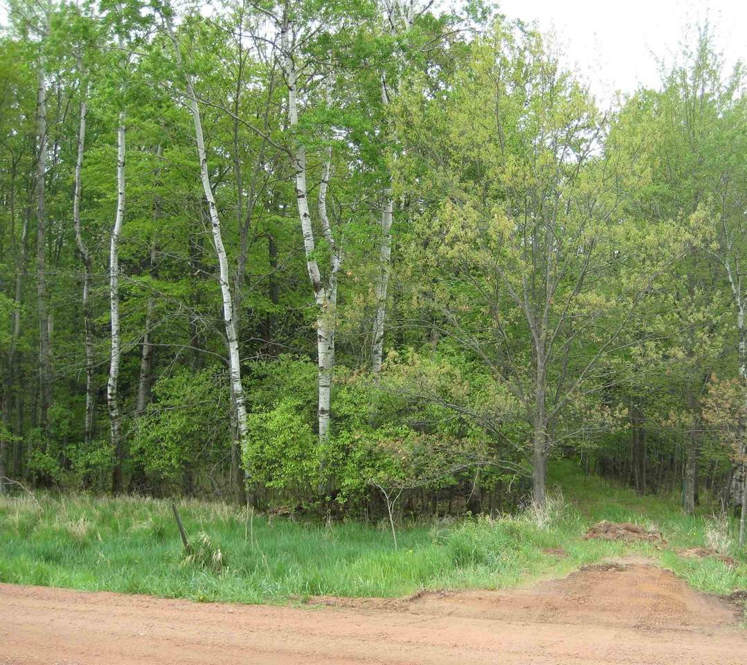 0 Ridge Road - Photo 1