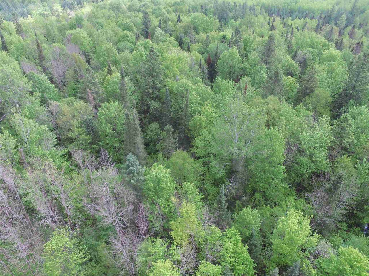 0000 2ND AVENUE ROAD - Photo 1