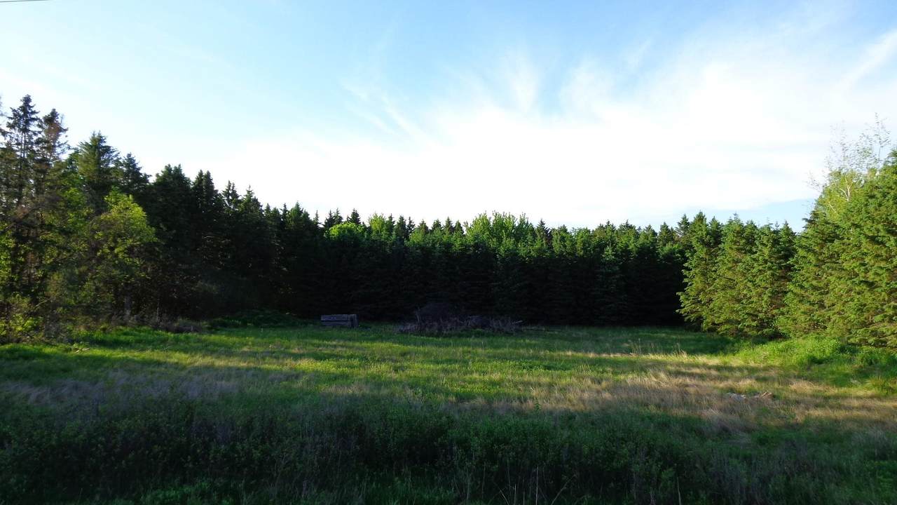 00 Highway 10 - Photo 1