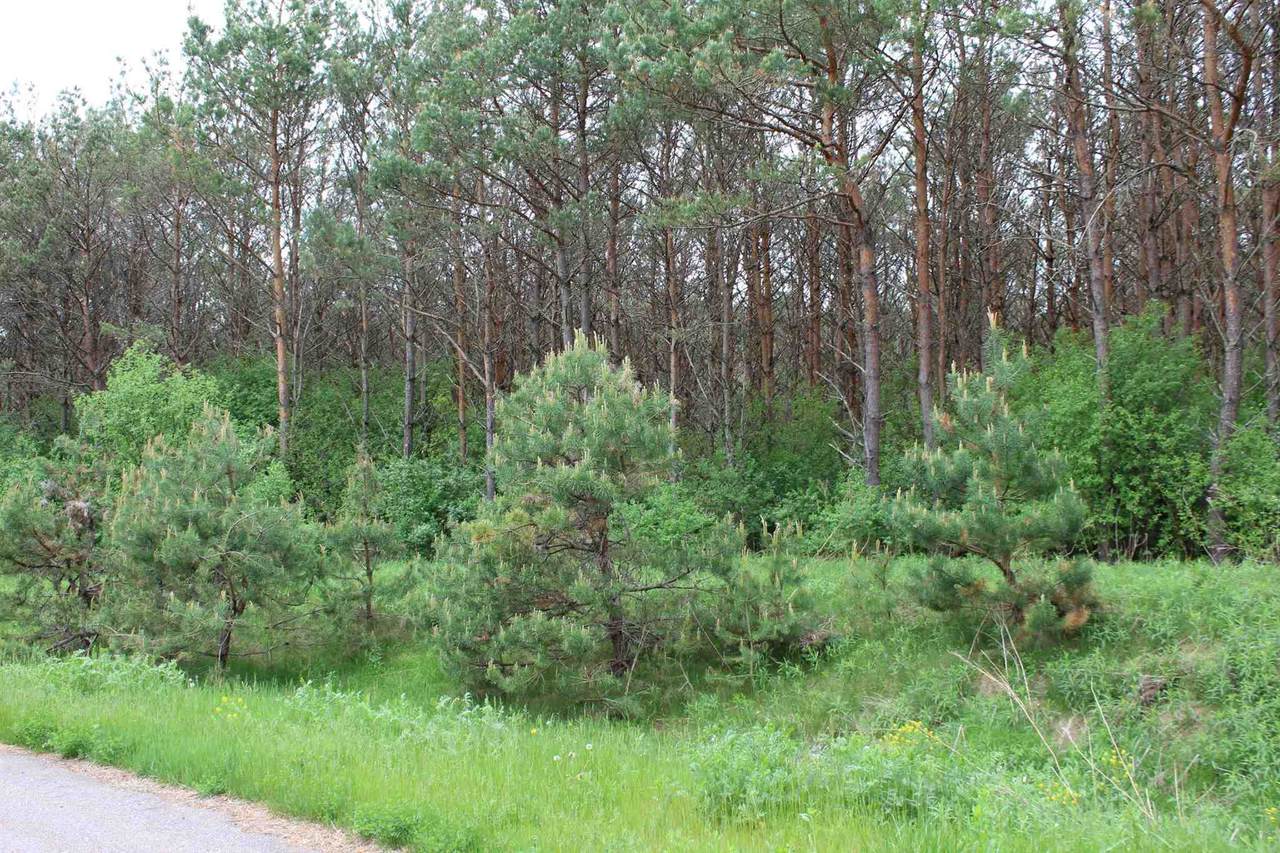 Lot 16 Savannah Lane - Photo 1