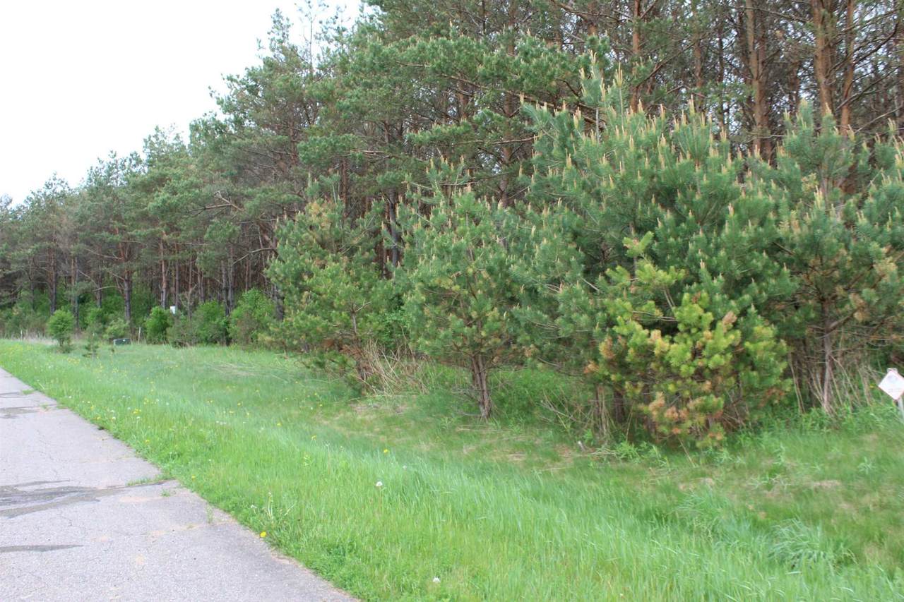 Lot 19 Savannah Lane - Photo 1