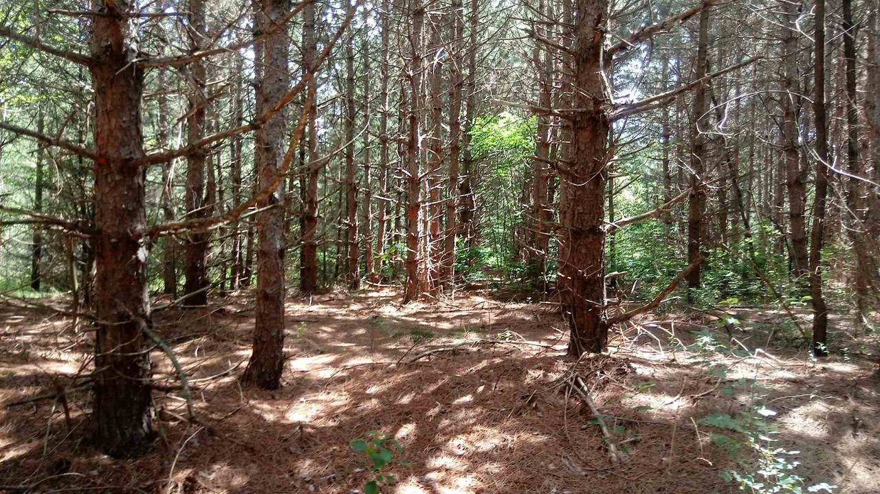 39ac 100TH AVENUE - Photo 1