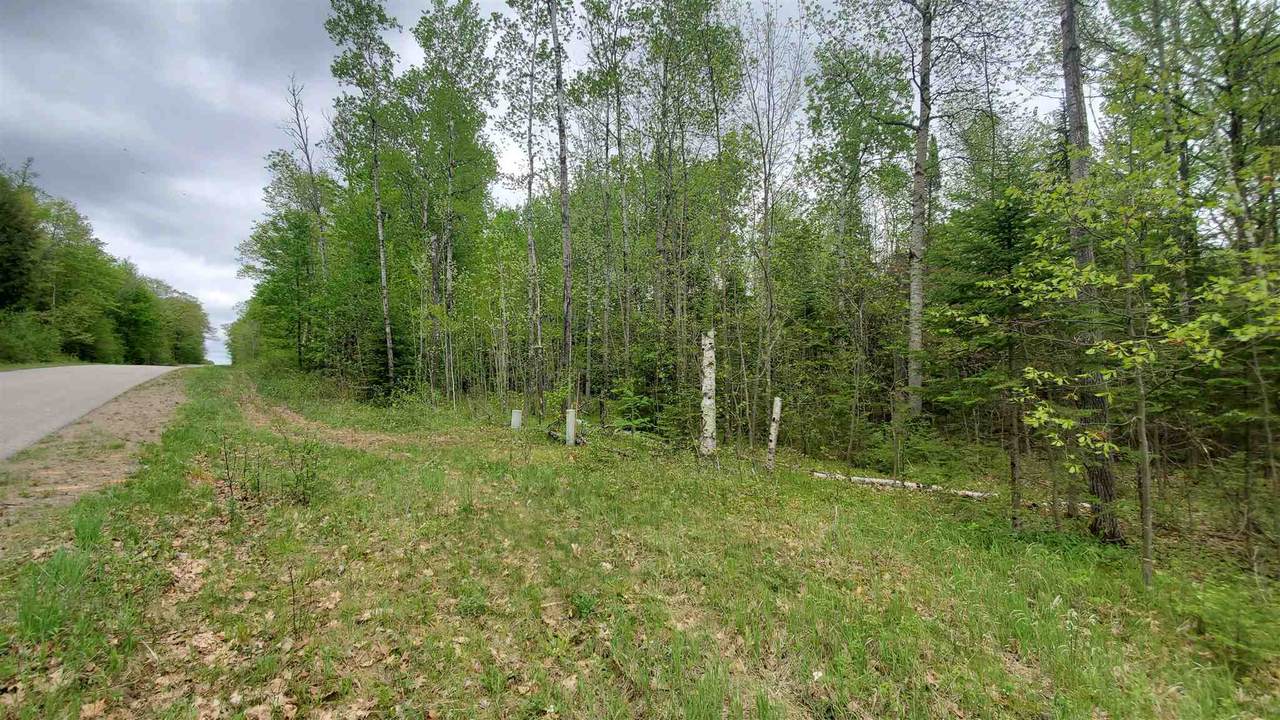 19.56 Acres Old Elcho Road - Photo 1