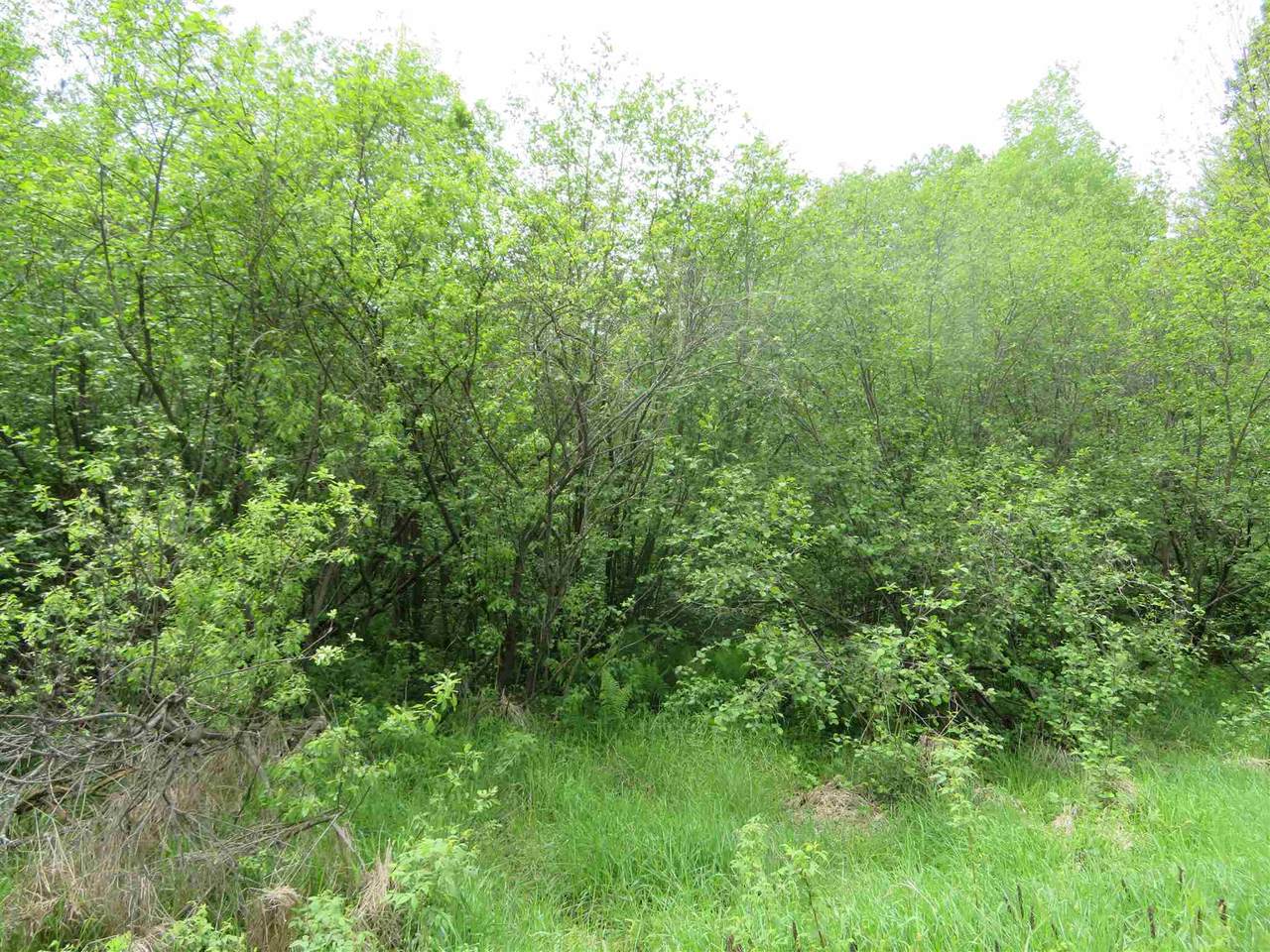 1 Acre Lot Von Besser Drive - Photo 1