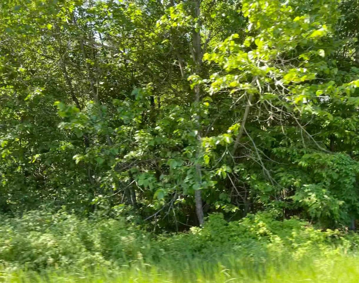 Lot 19 County Road O - Photo 1