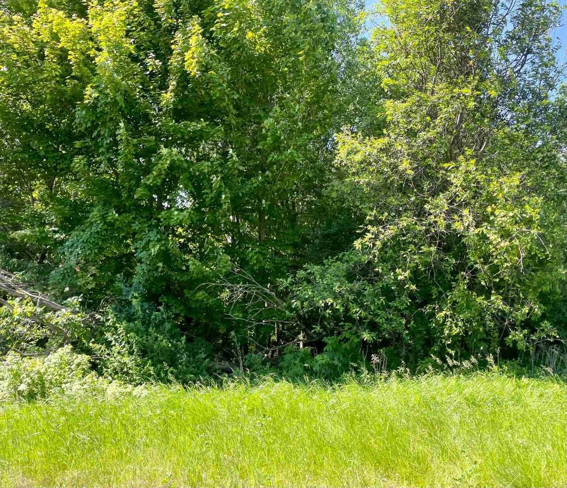 Lot 20 County Road O - Photo 1