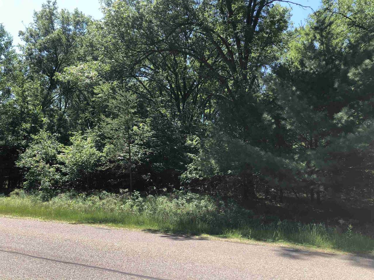 Lot 8 Eagle Summit - Photo 1