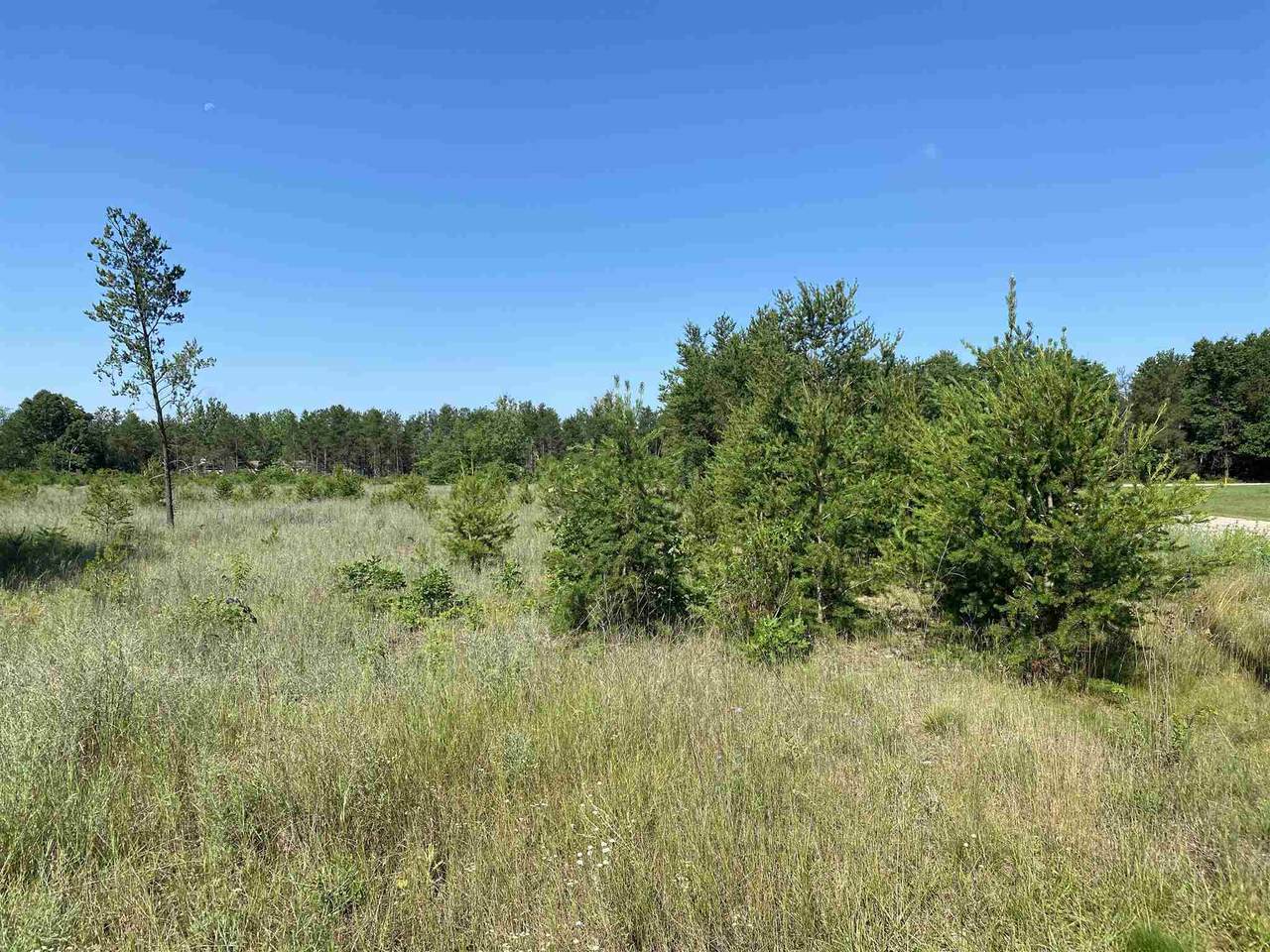 00 Bridlewood Drive - Photo 1