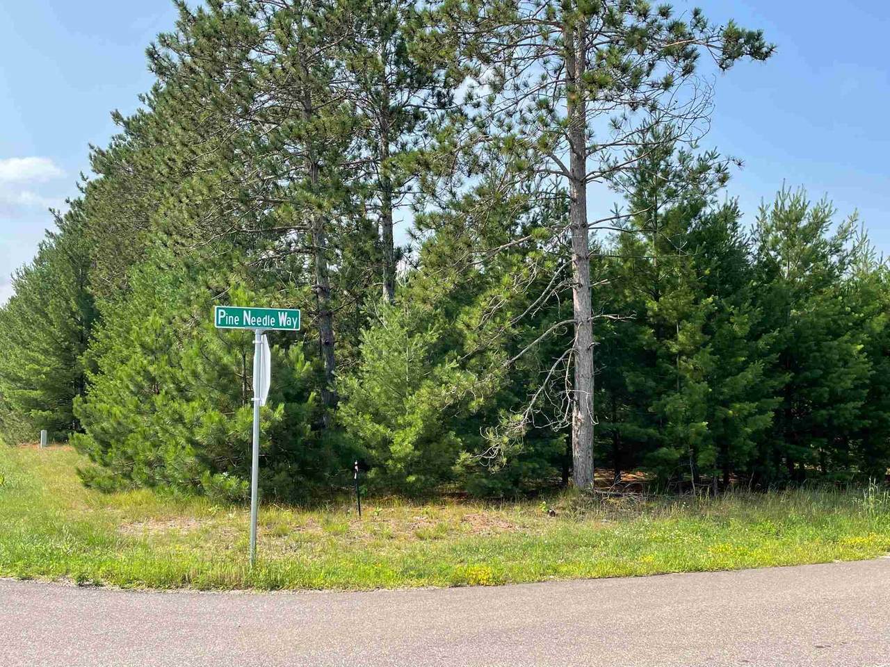 4720-Lot 22 of Grand Pine Needle Way - Photo 1