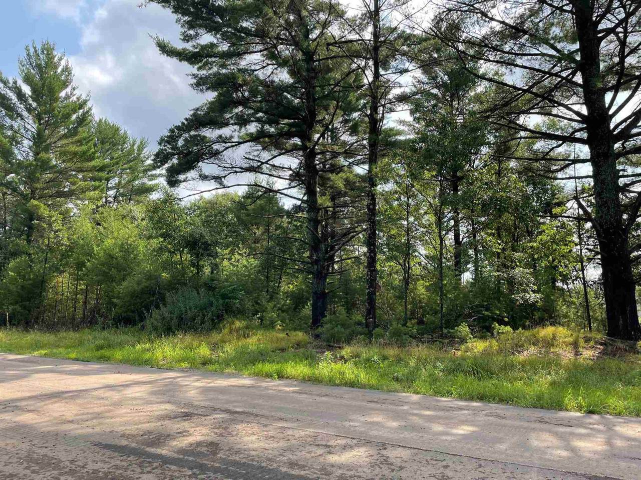 4921-Lot 34 in Grand Pinecone Court - Photo 1