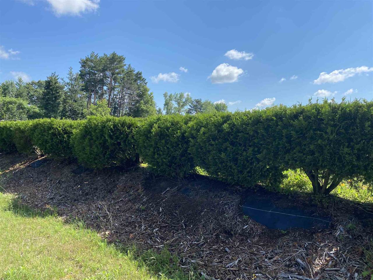 00-1170 Blue Iris Co Weeping Willow Drive - Photo 1