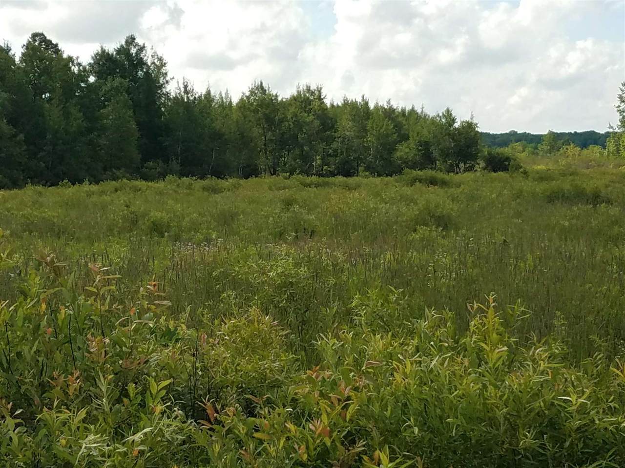 County Road D - Photo 1