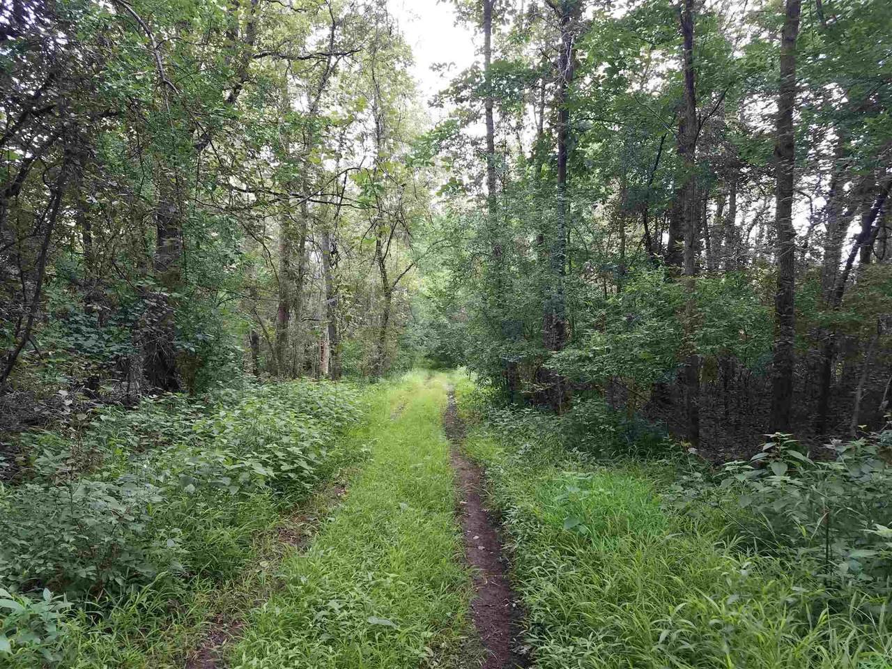 County Road O - Photo 1
