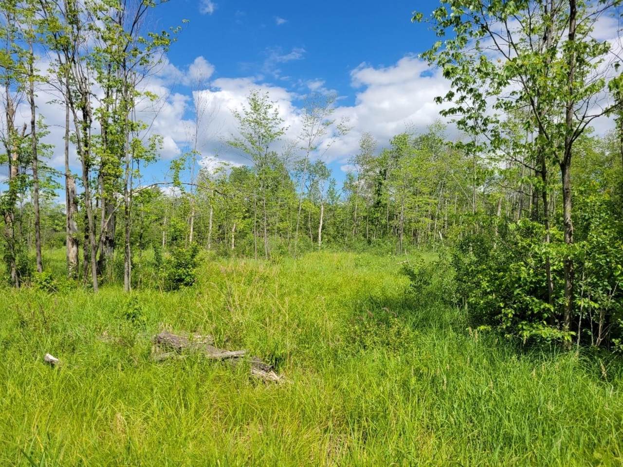 Lot 4 Johnson Road - Photo 1